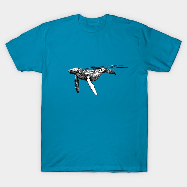 Humpback Whale Pen and Ink T-Shirt by tsd-fashion